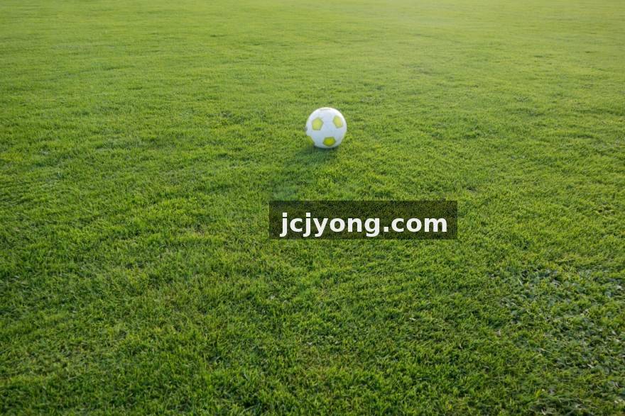 雷速体育意甲三中卫防线组织热点配图